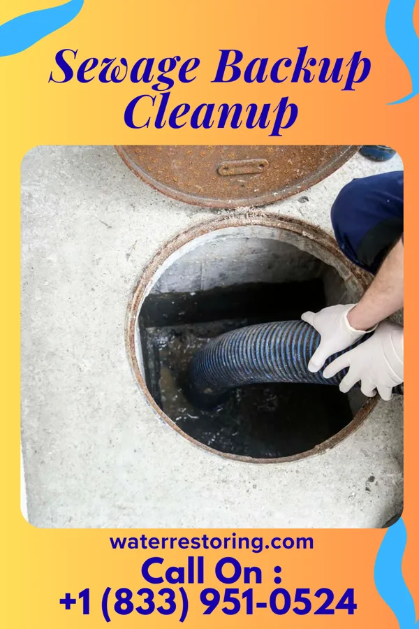 Sewage Backup Cleanup in Spring Valley Village, TX