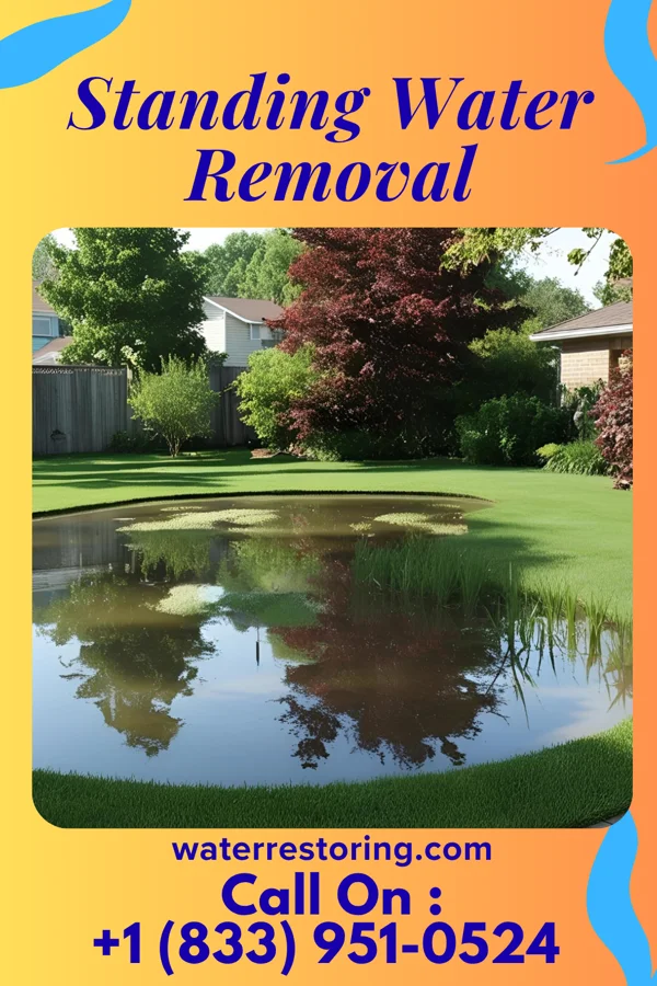 Standing Water Removal in Spring Valley Village, TX